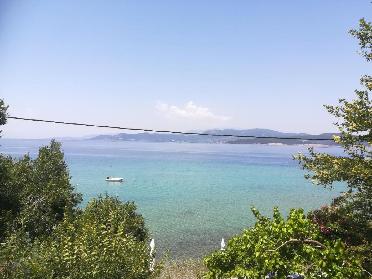 Akrogiali Ajókambosz Kültér fotó